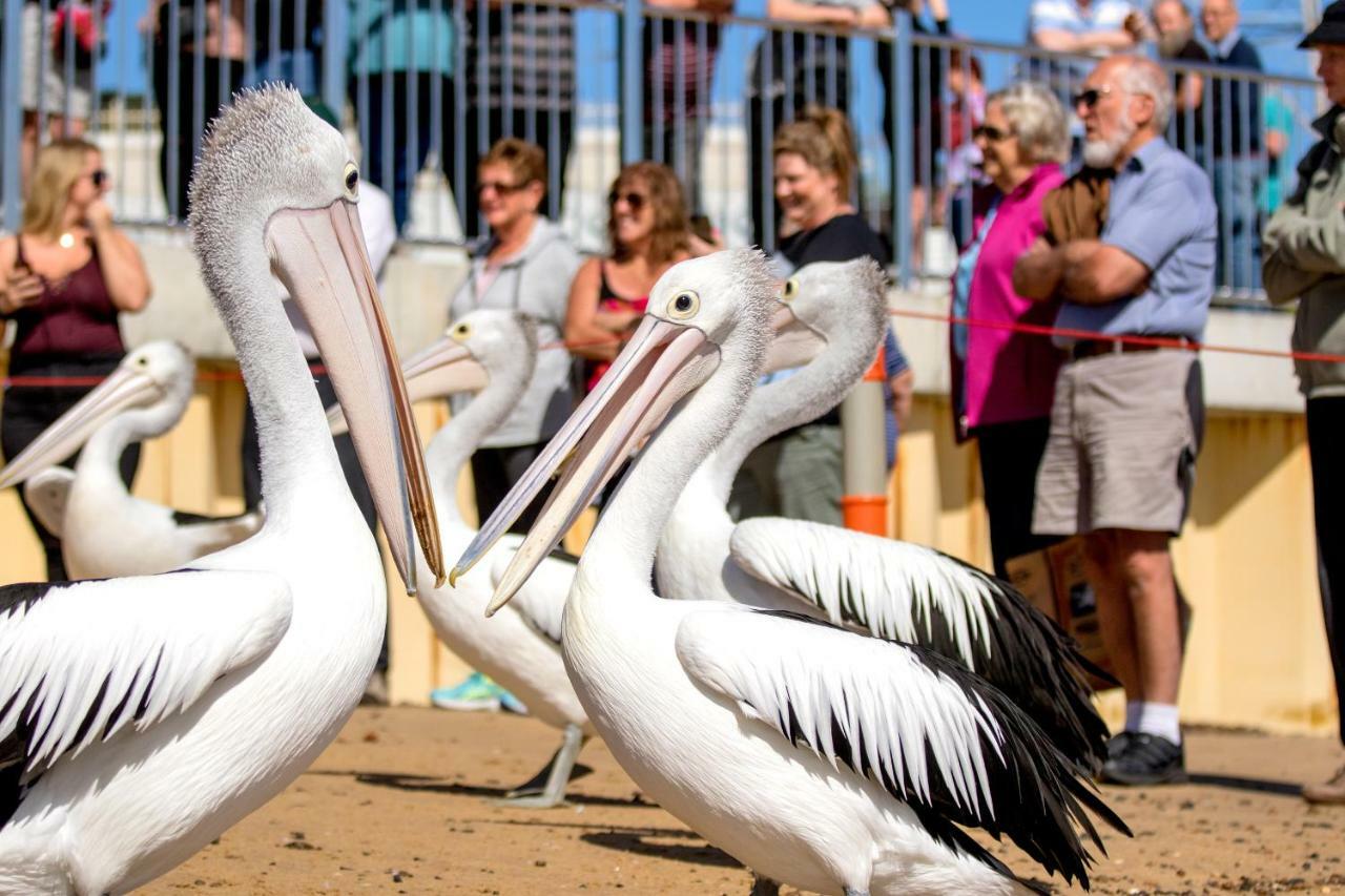 Big4 Ingenia Holidays Phillip Island Ньюхейвен Экстерьер фото